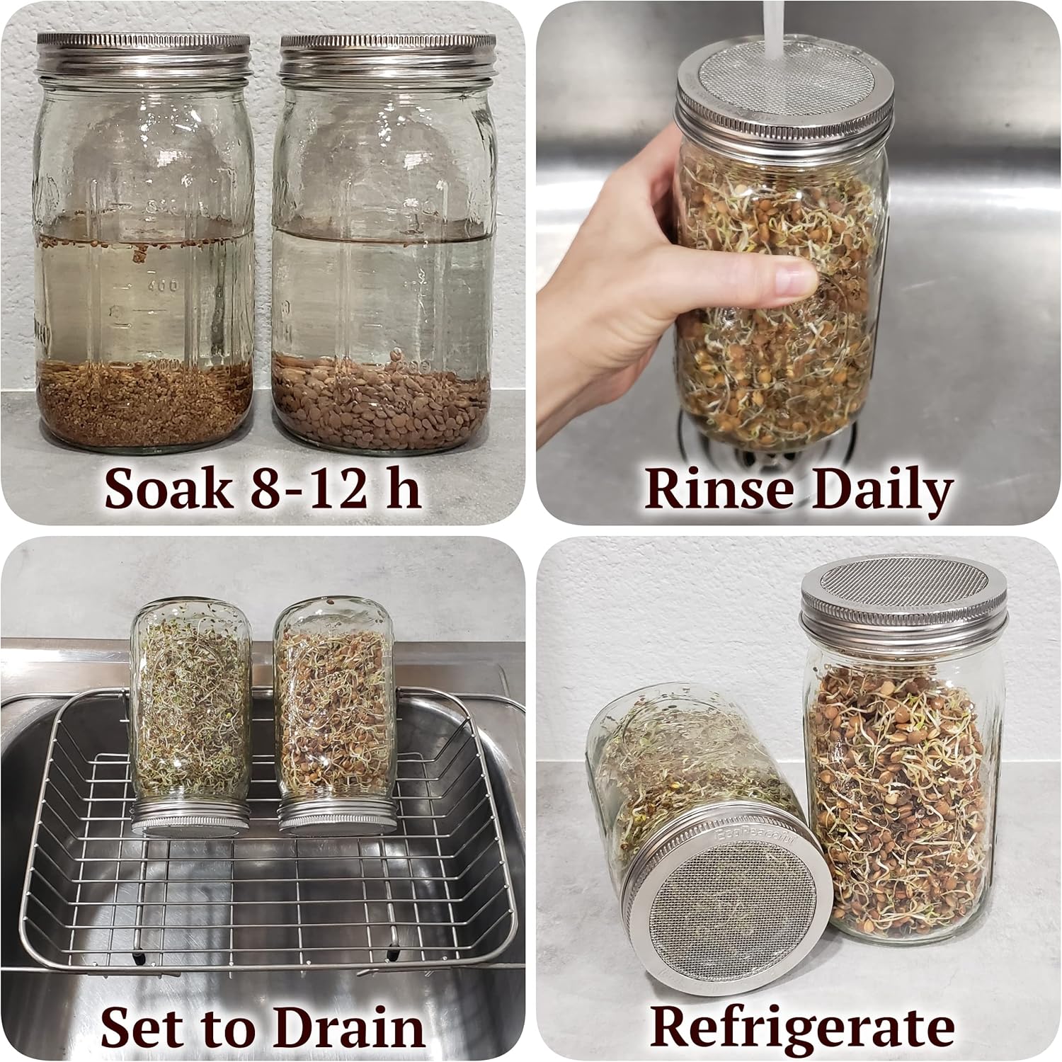 2 Pack ONE-PIECE 316 Surgical Stainless Steel Sprouting Lids for Wide Mouth Mason Jar (Ball Kerr) - One-Piece- Strainer Mesh Lids - Rust-Proof