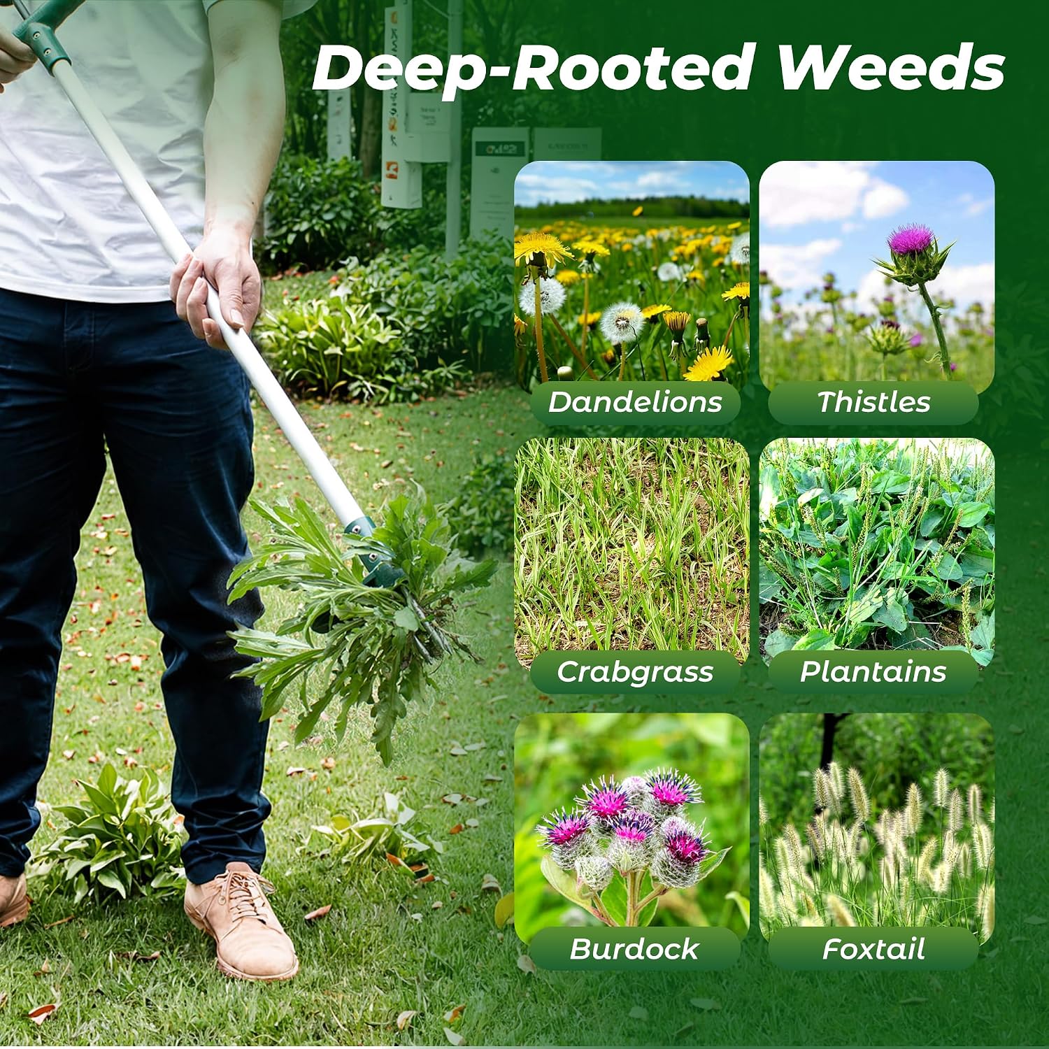 Walensee Weed Puller, Stand Up Weeder Hand Tool, Long Handle Garden Weeding Tool With 3 Claws, Hand Weed Hound Weed Puller For Dandelion, Standup Weed Root Pulling Tool And Picker, Grabber (1 Pack)