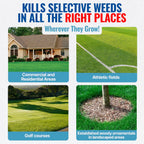 Sedgehammer 51516 Nutsedge Killer & Herbicide - Kills Yellow Nutsedge, Purple Nutsedge & Green Kyllinga, Selective Weed Killer For Lawns, Gardens & Landscapes