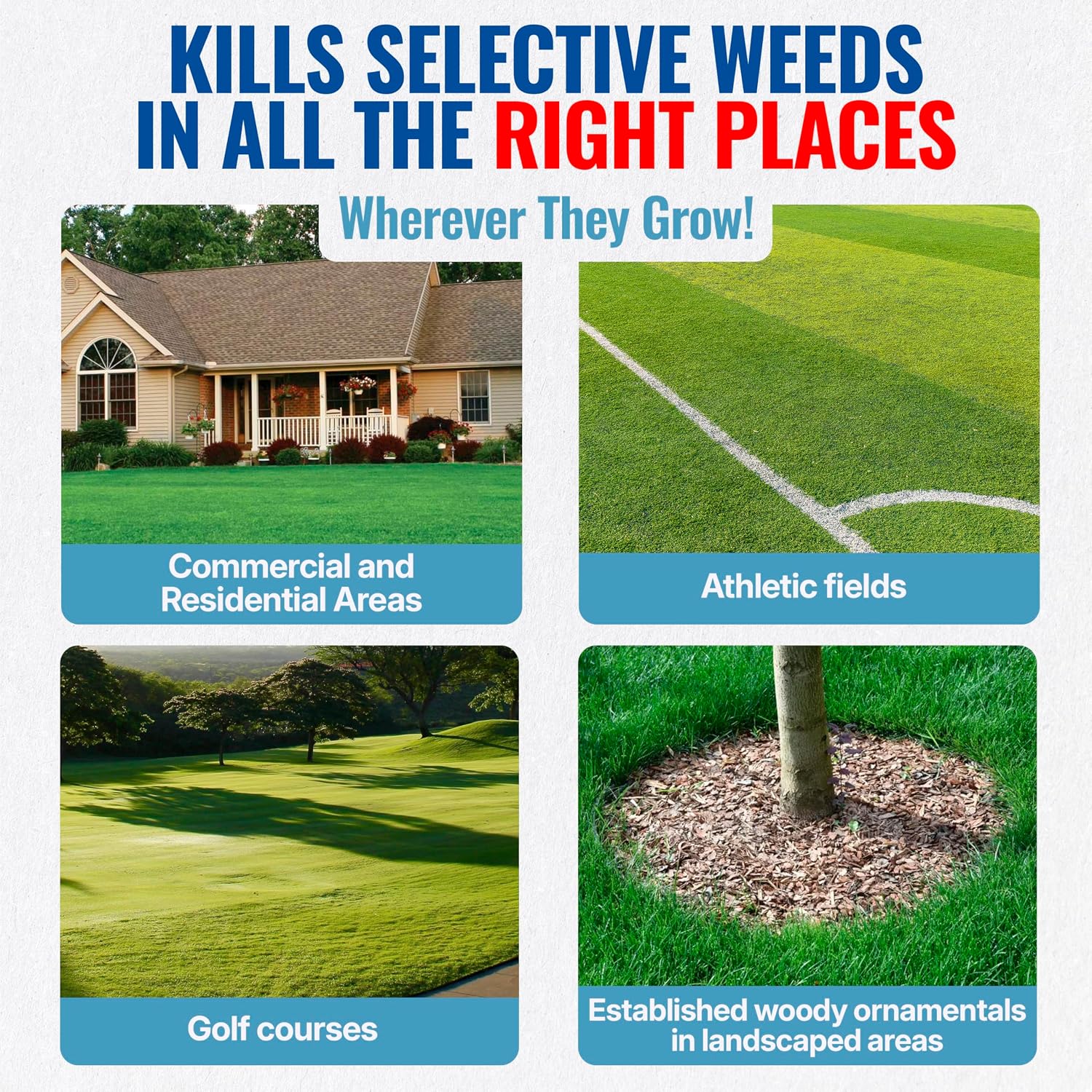 Sedgehammer 51516 Nutsedge Killer & Herbicide - Kills Yellow Nutsedge, Purple Nutsedge & Green Kyllinga, Selective Weed Killer For Lawns, Gardens & Landscapes