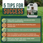 Petramax Green Grass Paint For Lawn Dye - Maintain Turf Or Green Grass, Spray Paint For Lawn & Shrubs Easy Spray, Pairs W/Petra Sprayer - Touch Up Dog Spots - Pet Safe (Premium, 32 Oz)