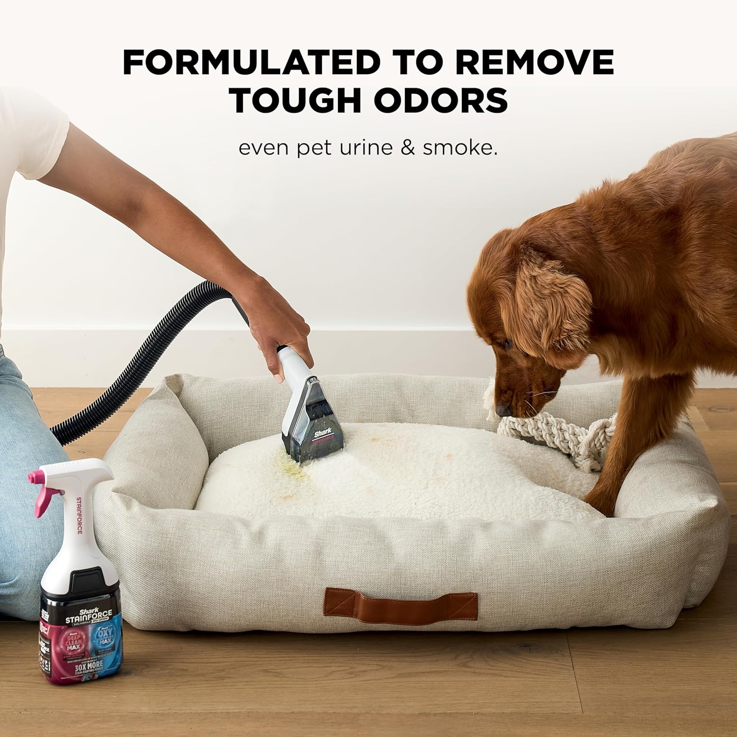 Shark Everymess Ultra-Powerful 3-In-1 Wet Vac, Dry Vac, & Stain Eliminator With Stainforce Technology, Perfect For Homes, Pets, And Cars, 4 Accessories And Cleaning Solution, Gray, Vx101