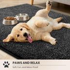 PURRUGS Dirt Trapping Door Mat 24" x 35.5", Non-Slip Machine Washable Entryway Rug, Dog Doormat, Indoor Front Door Mat, Super Absorbent Entry Rug for Muddy Shoes & Paws, Charcoal