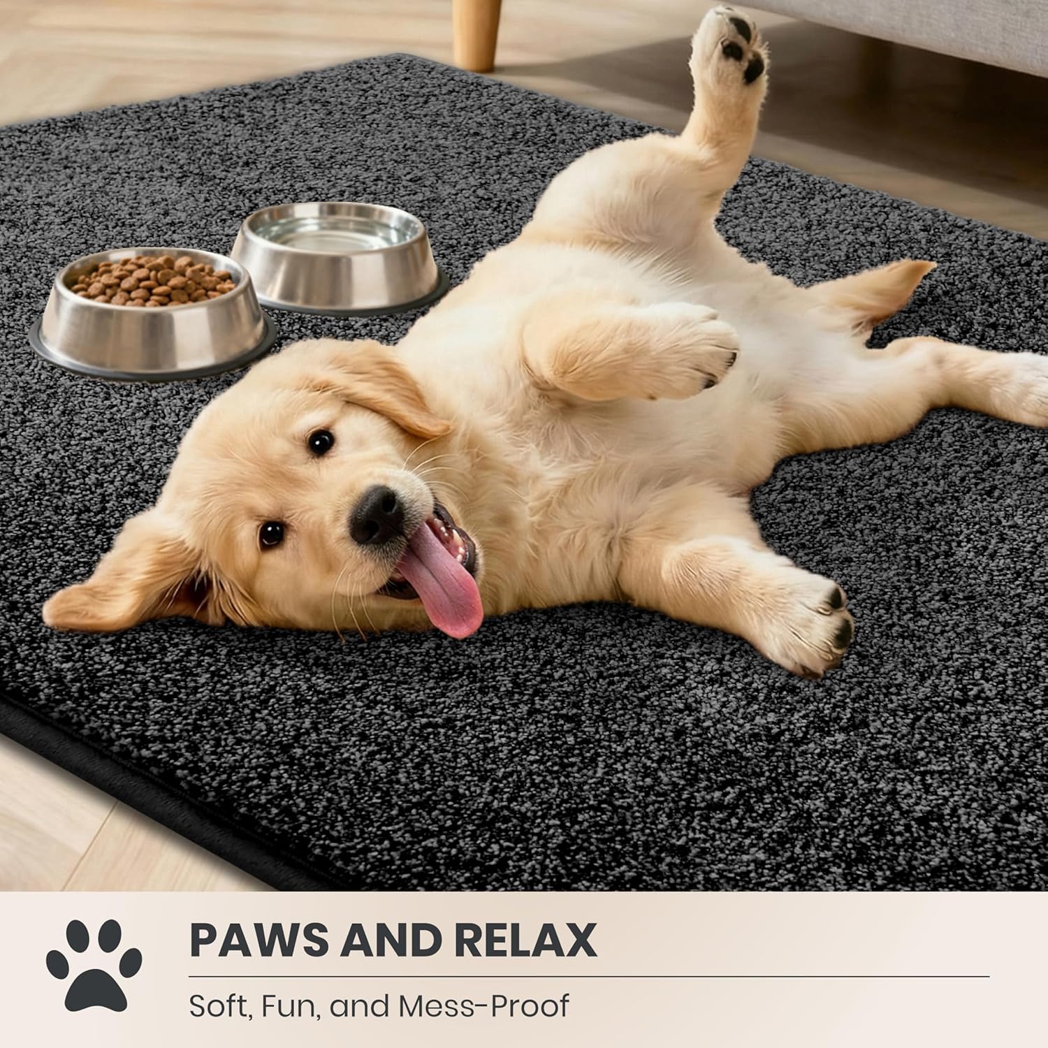 PURRUGS Dirt Trapping Door Mat 24" x 35.5", Non-Slip Machine Washable Entryway Rug, Dog Doormat, Indoor Front Door Mat, Super Absorbent Entry Rug for Muddy Shoes & Paws, Charcoal