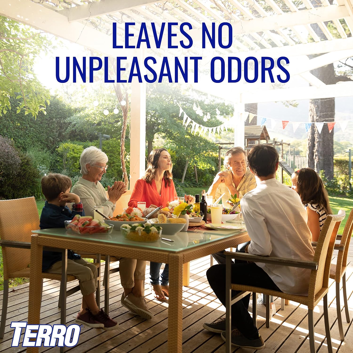Terro Ready To Use Indoor And Outdoor Carpenter Ant, Termite, And Carpenter Bee Killer Aerosol Spray - T1901Sr - 2 Pack, 32 Total Ounces | Indoor & Outdoor Treatment For Ants, Termites, & Wood-Infesting Insects, Two-Way Spray Nozzle, 32 Total Oz
