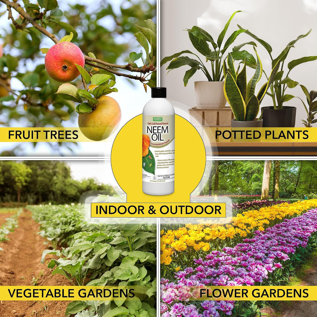 Harris Concentrated Neem Oil 100% Cold Pressed Filtered Oil Insecticide/Miticide/Fungicide, 12 Oz Concentrate