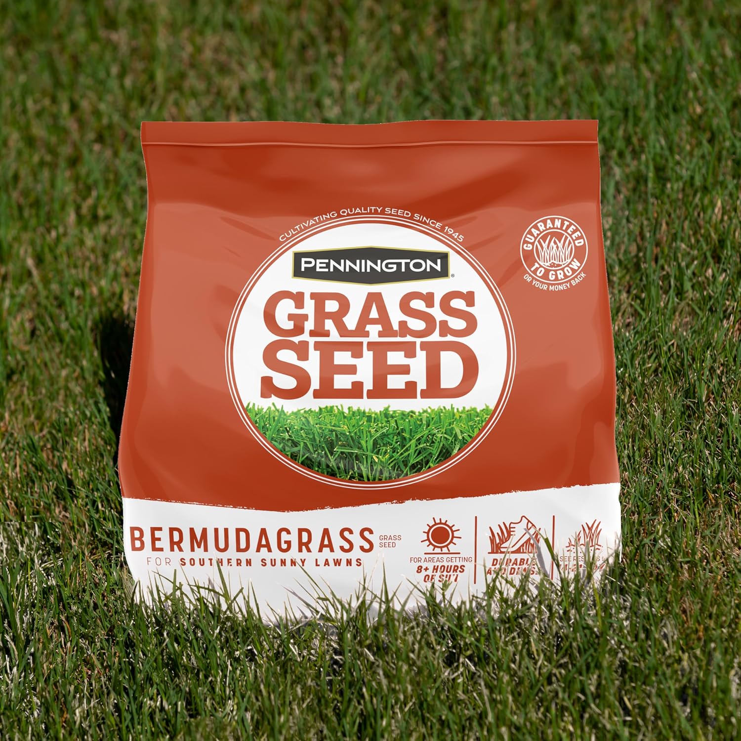 Pennington Bermudagrass Grass Seeds For Lawn, 5 Lb