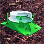 Terro T1804Sr Outdoor Ready-To-Use Liquid Ant Bait Killer And Trap - Kills Common Household Ants - 8 Bait Stations | Ready-To-Use Ant Killer Traps, Kills Common Household Ants Including Acrobat, Crazy, Ghost And Little Black Ants, T1804Sr
