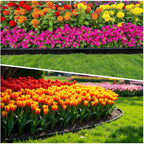 Mixc 100Ft Landscape Edging Kit With 150 Spikes, Not Digging Flexible Plastic Edge Border For Landscaping, Lawn, Garden, Flower Beds, Yard, Paver, Playground, Pathway,3Pack, 33Ft Each,1.5In High