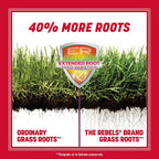 Pennington The Rebels Tall Fescue, Tall Fescue Grass Seeds For Lawn, 7 Lb
