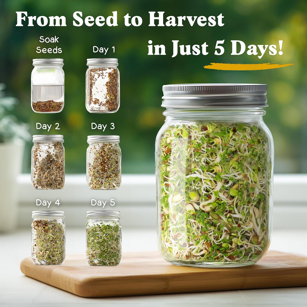 Organic Non-Gmo Sprouting Seeds, Fresh Salad Blend - Usa Grown Microgreens Mix With Alfalfa, Broccoli, Radish, Mung Bean & Lentil - 8 Oz Bag Makes 8 Quarts / 32 Servings (Salad Blend)