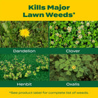 Scotts Liquid Turf Builder With Plus 2 Weed Control, 32 Fl. Oz. | Liquid Weed Killer And Grass Fertilizer, Hose-End Applicator