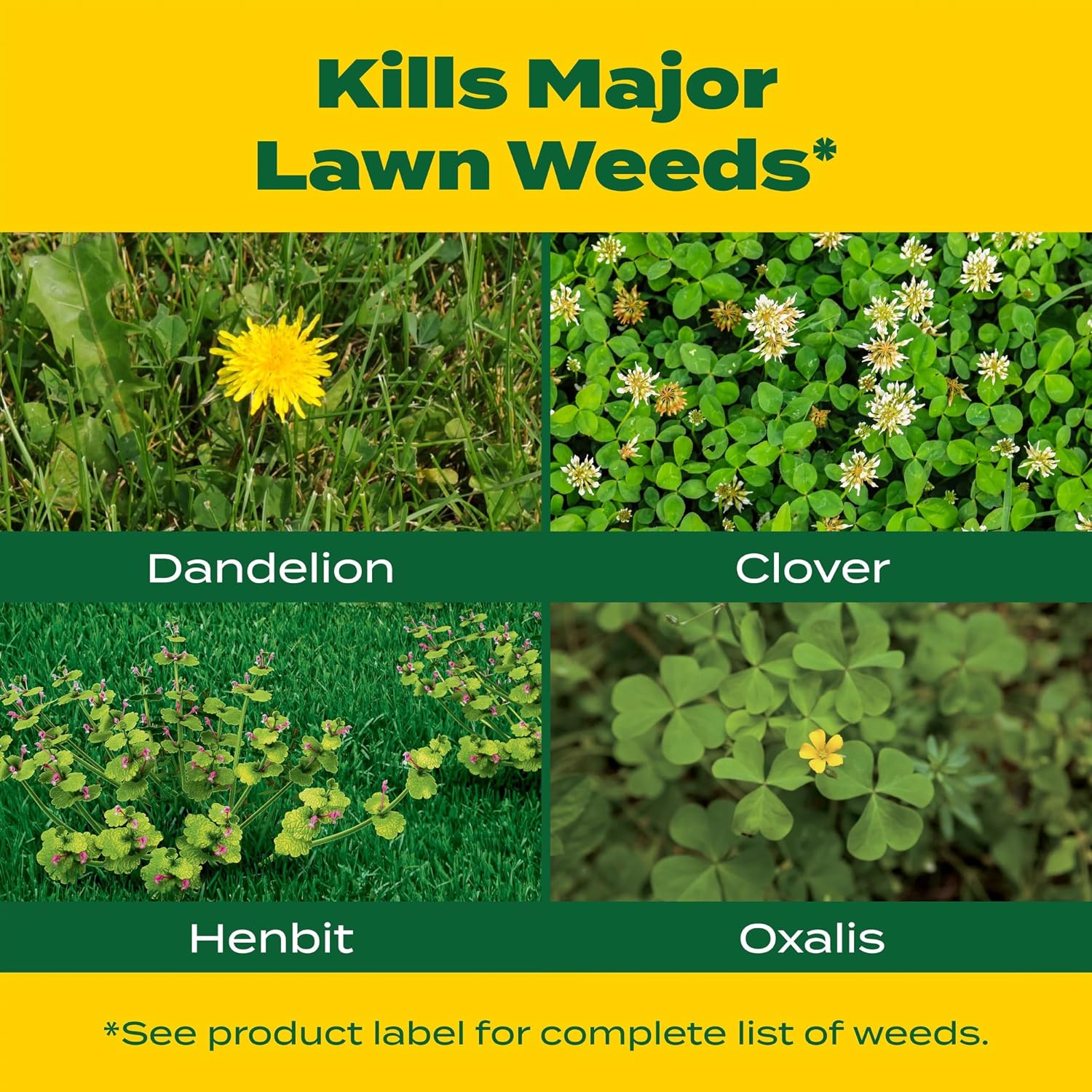 Scotts Liquid Turf Builder With Plus 2 Weed Control, 32 Fl. Oz. | Liquid Weed Killer And Grass Fertilizer, Hose-End Applicator
