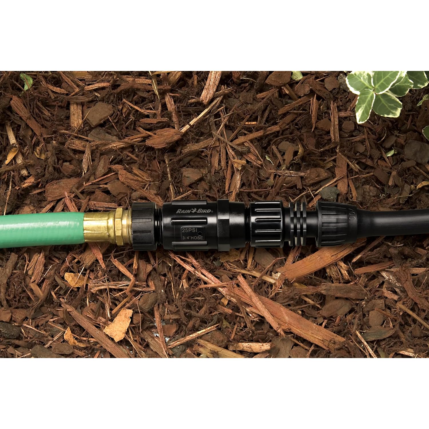 Rain Bird Ht07525Psi Drip Irrigation 25 Psi Pressure Regulator, 3/4" Female Hose Thread X 3/4" Male Hose Thread