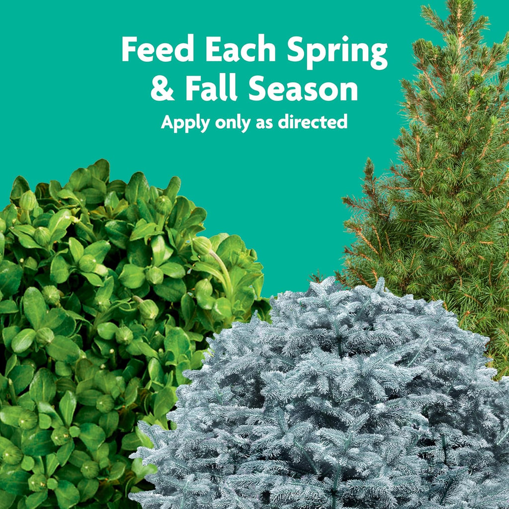 Miracle-Gro Tree & Shrub Plant Food Spikes, 12 Spikes | For Deciduous, Flowering And Evergreen Trees, Hydrangeas, And Acid-Loving Plants