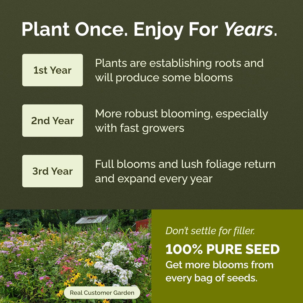 Eden Brothers All Perennial Wildflower Seed Mix For Planting, 1/4 Lb, 120,000+ Seeds Throw And Grow 19 Flower Varieties, Non-Gmo Covers To 1,000 Sq Ft, Attracts Pollinators, Spring Or Fall, Zones 3-10