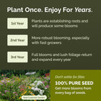 Eden Brothers All Perennial Wildflower Seed Mix For Planting, 1/4 Lb, 120,000+ Seeds Throw And Grow 19 Flower Varieties, Non-Gmo Covers To 1,000 Sq Ft, Attracts Pollinators, Spring Or Fall, Zones 3-10