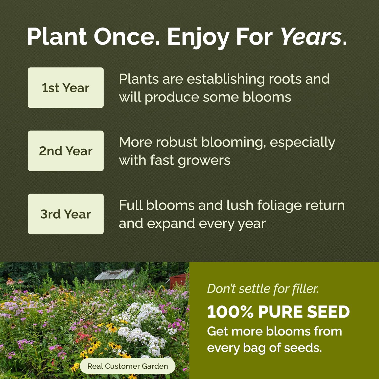 Eden Brothers All Perennial Wildflower Seed Mix For Planting, 1/4 Lb, 120,000+ Seeds Throw And Grow 19 Flower Varieties, Non-Gmo Covers To 1,000 Sq Ft, Attracts Pollinators, Spring Or Fall, Zones 3-10