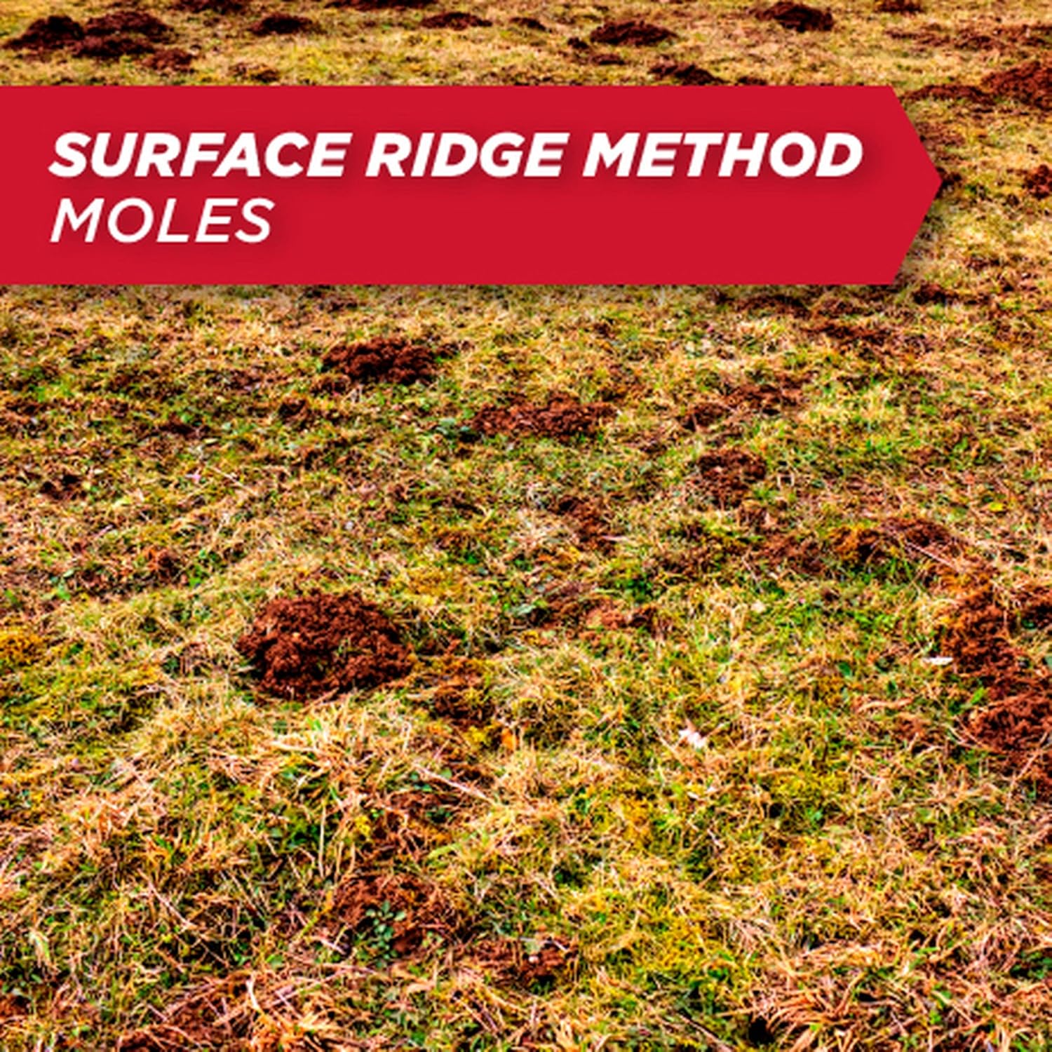 Amdro Mole & Gopher Bait 1 Lb, 100510486, Black Label