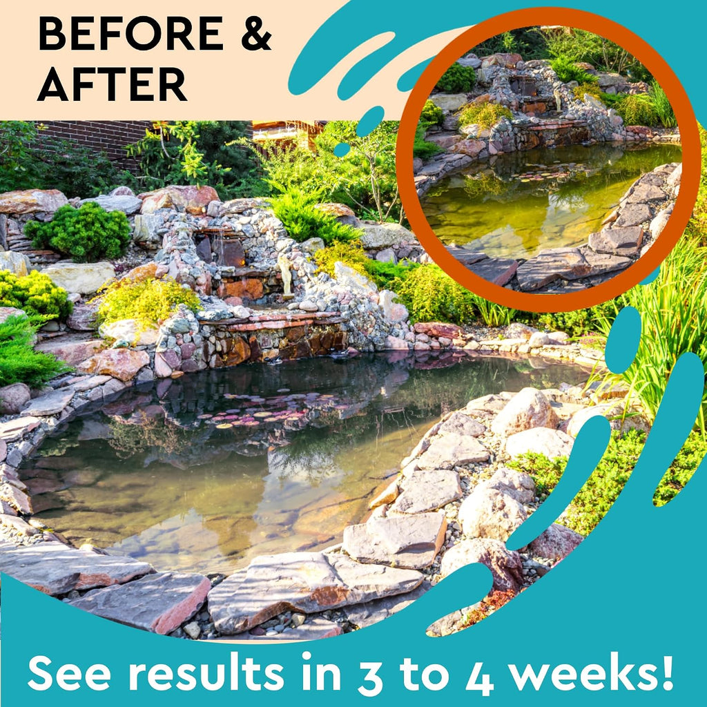 Algaecide For Fountains – Clarify And Controls Algae For Large And Small Fountain (8 Oz)