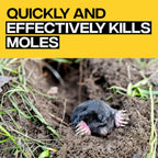 Victor Poison Moleworms, 10-Pack | Mole Killer Bait Worms, 5 Tunnel Locator Flags, Underground Pest Control In Lawns And Yards, Effective Mole Poisoning