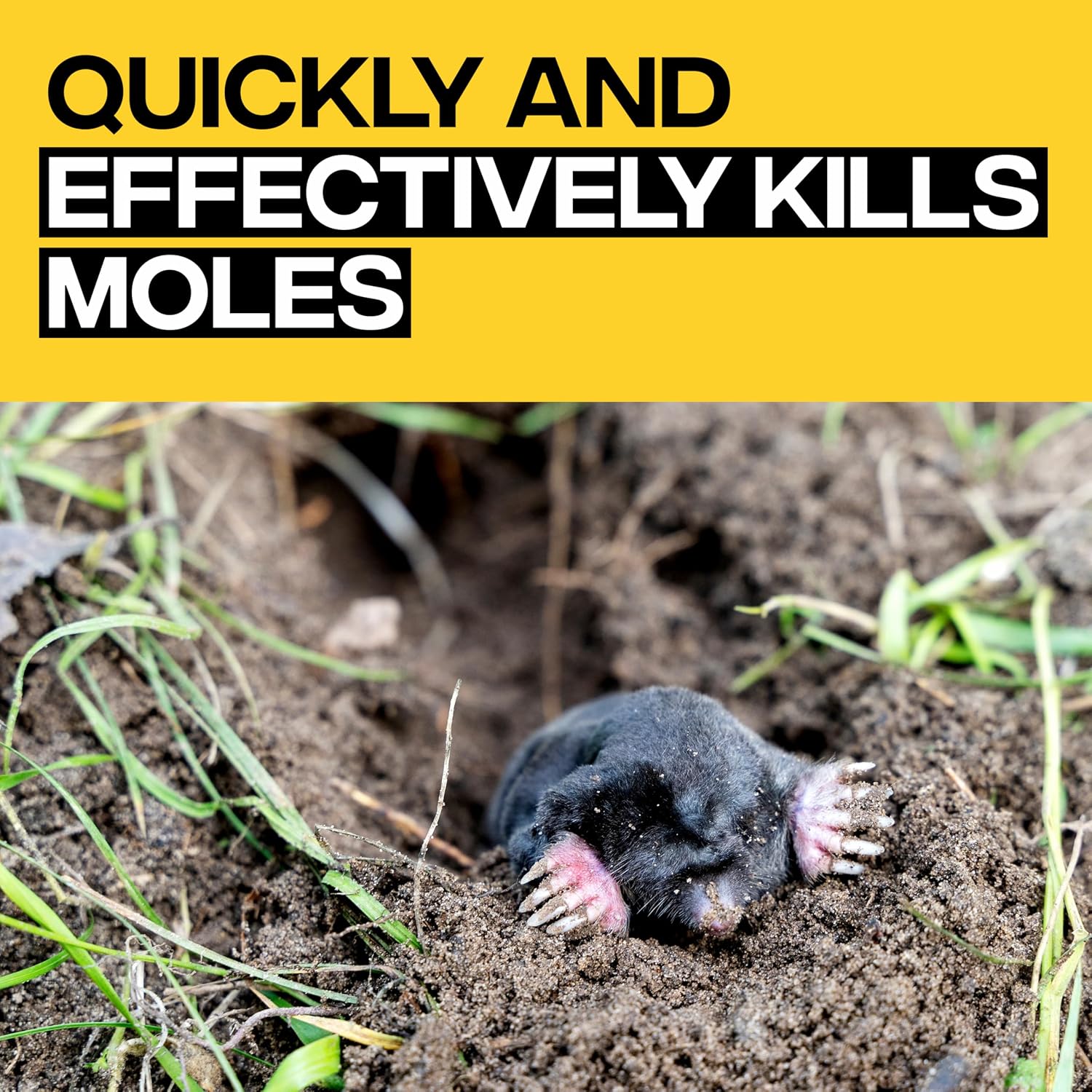 Victor Poison Moleworms, 10-Pack | Mole Killer Bait Worms, 5 Tunnel Locator Flags, Underground Pest Control In Lawns And Yards, Effective Mole Poisoning