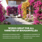 Bougainvillea Fertilizer – Liquid Plant Food For More Blooms, Brighter Color & Fuller Growth, 8 Oz