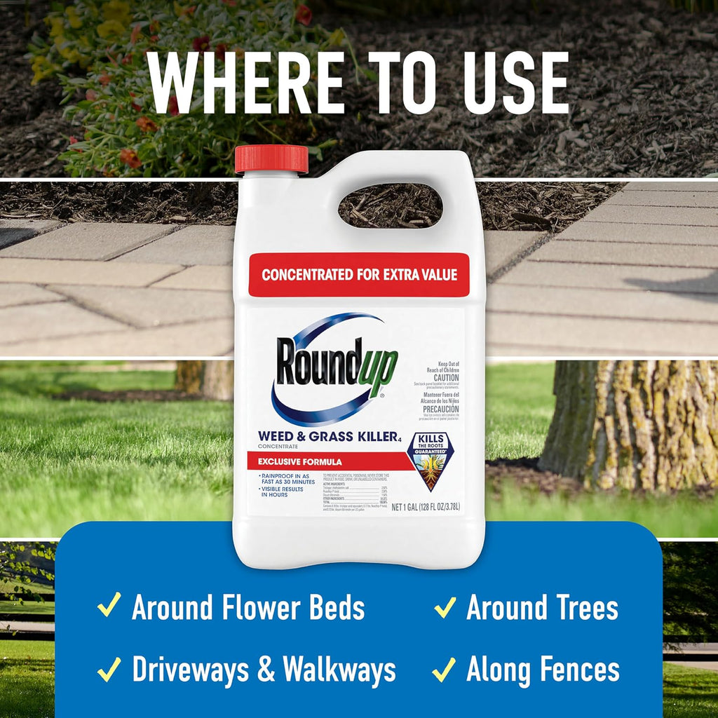 Roundup Weed & Grass Killer₄ Concentrate, Use In And Around Flower Beds, Walkways And Other Areas Of Your Yard, 1 Gal.