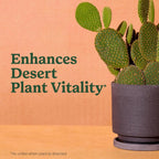 Miracle-Gro Cactus, Palm & Citrus Potting Mix, 8 Qt. (2-Pack) | For Indoor Or Outdoor Potted Plants, Great For Succulents