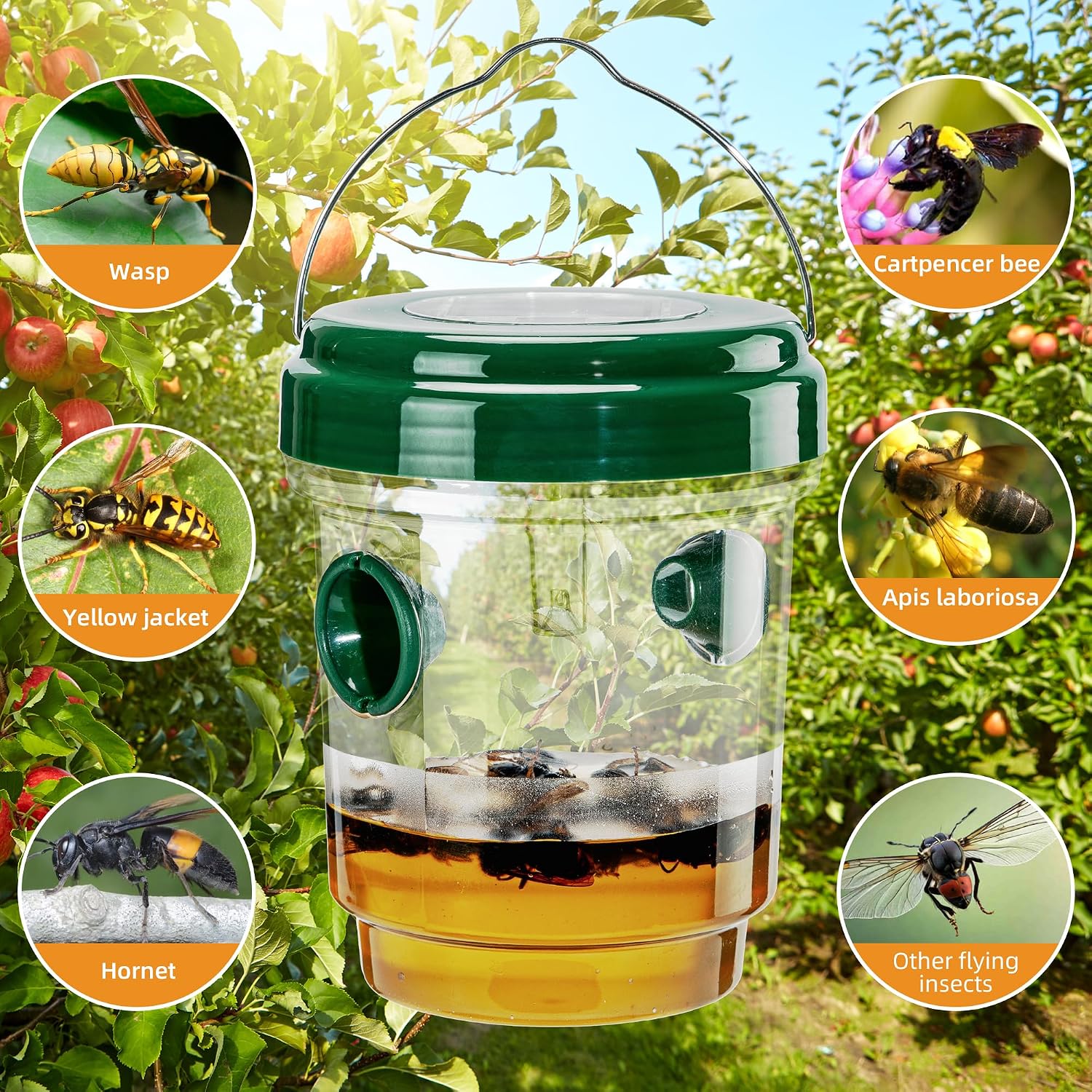 Wasp Traps Outdoor Hanging, Carpenter Bees, Yellow