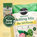 Miracle-Gro Indoor Potting Mix For All Plants, 6 Qt., 2-Pack | Use With Houseplants And More, Feeds For Up To 6 Months
