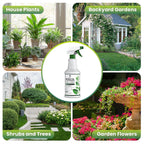 Neem Oil Spray For Plants With Peppermint Oil, Easy Ready To Use Natural Plant Wash And Foliage Care For Indoor And Outdoor Plants, Gardens, Houseplants & Vegetables, 16 Oz