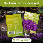 2000 English Lavender Seeds For Planting Outdoor & Indoor (Lavandula Angustifolia) – True Lavender Flowers, Heirloom Perennial, Non-Gmo – Herb Seeds For Outdoor Garden, Flower Beds