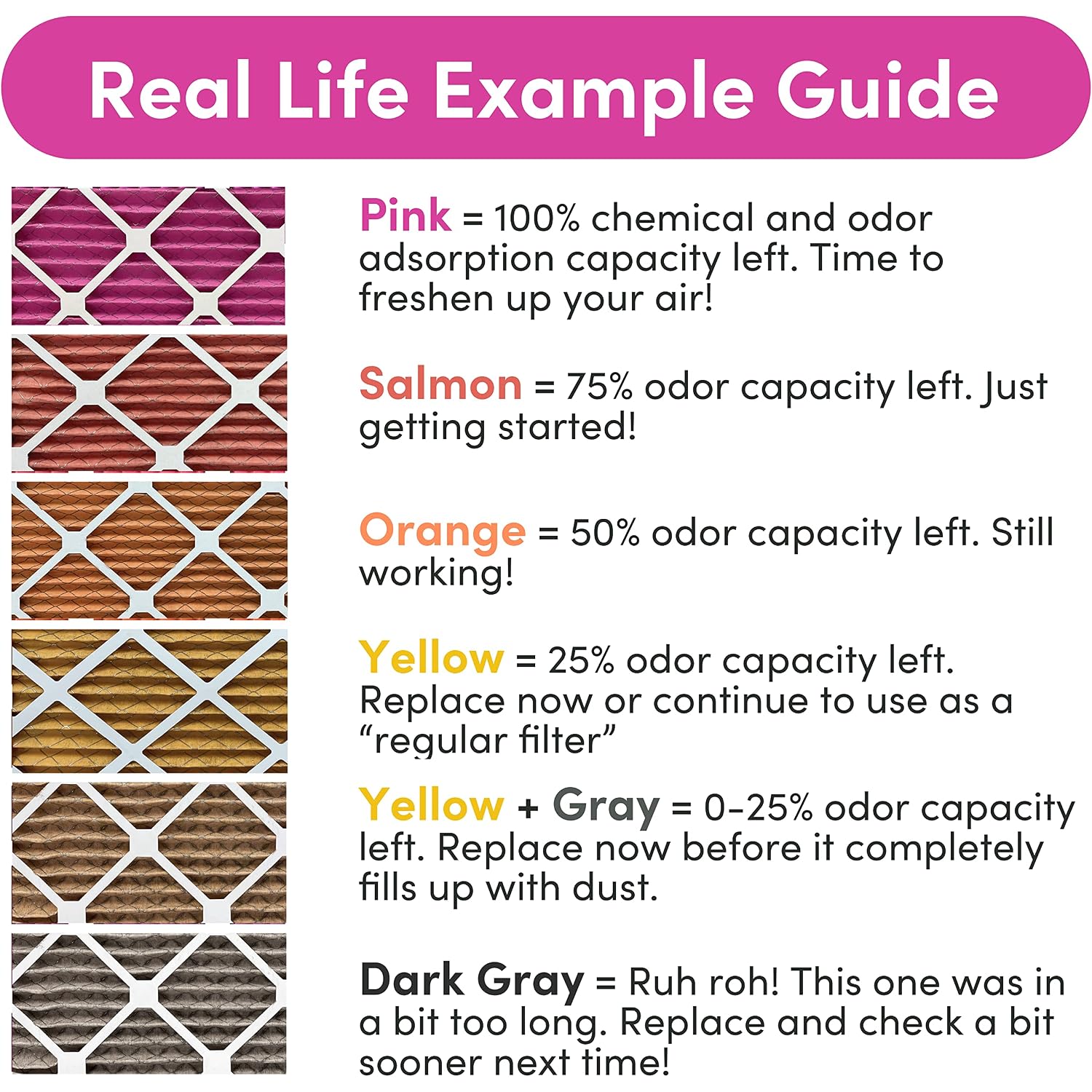 20X20X1 Air Filter (2-Pack) | Made In The Usa | Color Changing | Remove Cat And Dog Odor | Merv 8 For Pet Hair Dander And Dust | 19.5"X19.5"X0.75" Exact Size