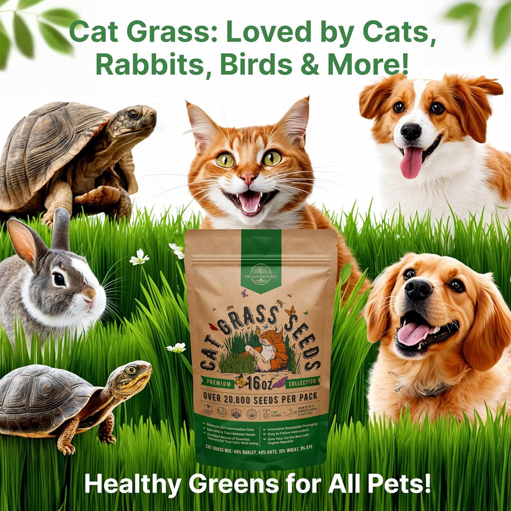 Cat Grass Seeds Mix - 20,800 Non-Gmo Heirloom Seeds For Cats & Pets, 16 Oz Pack For Growing Fresh Barley, Oat, Rye & Wheat Grass Seeds For Planting, Indoor Plants, Hairball Remedy