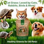 Cat Grass Seeds Mix - 20,800 Non-Gmo Heirloom Seeds For Cats & Pets, 16 Oz Pack For Growing Fresh Barley, Oat, Rye & Wheat Grass Seeds For Planting, Indoor Plants, Hairball Remedy