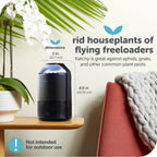 The Original Katchy Indoor Insect Trap - Fan Powered With Uv Light - Fruit Fly Traps For Indoors - For Fruit Flies, Gnats, Mosquitoes, Moths (Black)