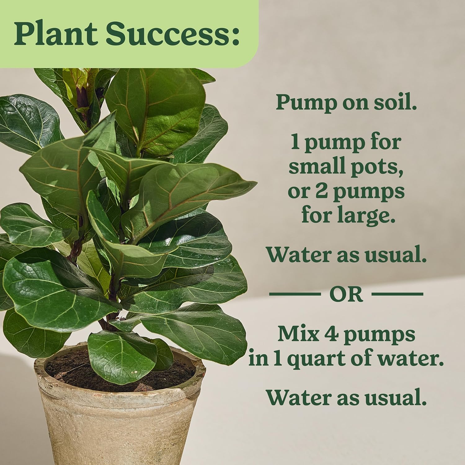 Miracle-Gro Indoor Plant Food For Tropicals, 8 Fl. Oz. (2-Pack) | Liquid Plant Food For Tropical Houseplants