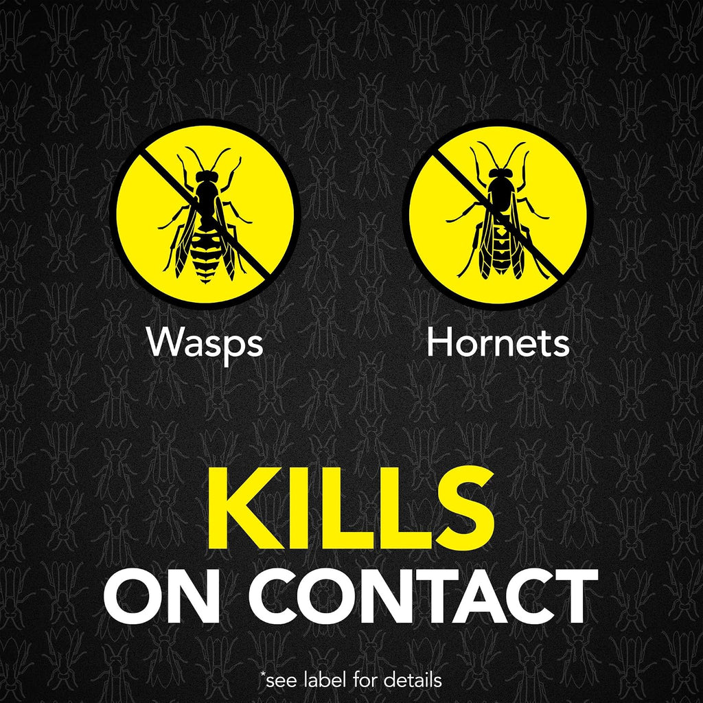 Raid Max Foaming Wasp & Hornet Killer, Fast Coverage Foam, Outdoor Bug Spray, 16.5 Oz
