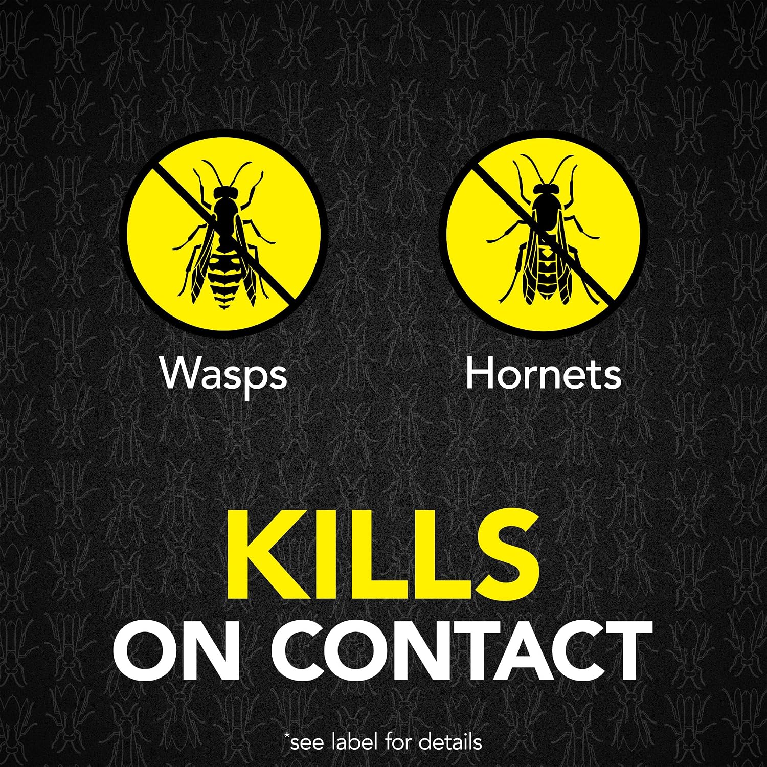 Raid Max Foaming Wasp & Hornet Killer, Fast Coverage Foam, Outdoor Bug Spray, 16.5 Oz