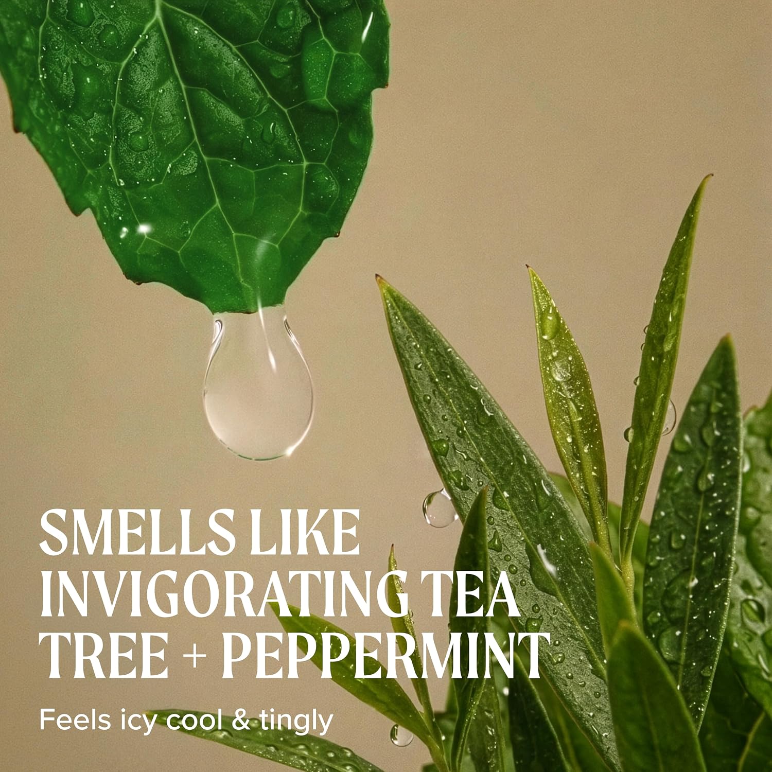 Tea Tree Special Conditioner, Detangles, Smooths + Softens, For All Hair Types