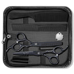 Purple Dragon Professional Japan 440C Hair Salon Cutting Shear And Barber Thinning Scissor Hairdressing Shear Set With Bag (Black, 6 Inch)