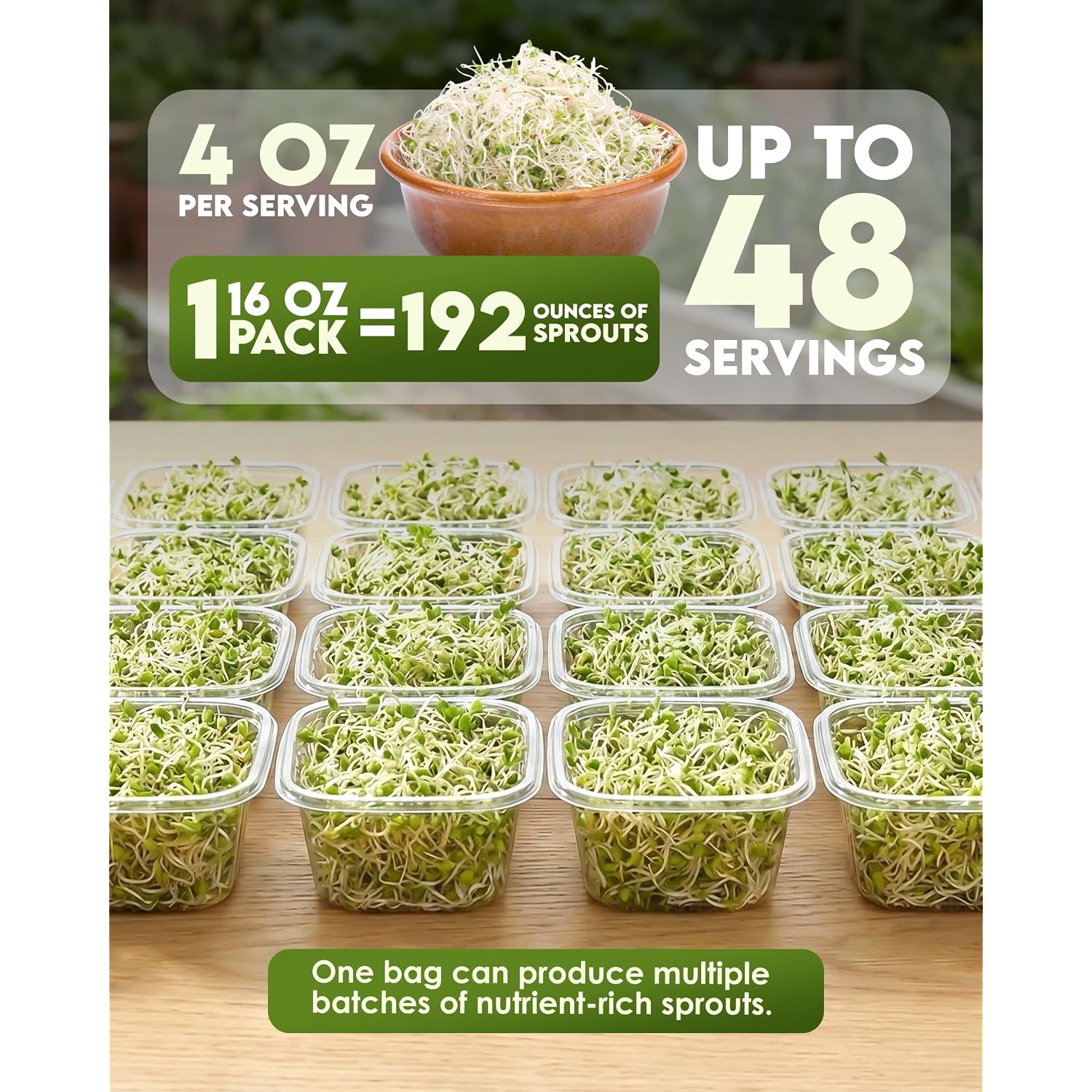 Nature Jim'S Sprouts - Organic Alfalfa Sprouting Seeds – Non-Gmo - 16 Oz | Premium Microgreen Seeds - Fast-Growing Plants - Ideal Sprouting Seeds For Fresh & Nutritious Indoor/Outdoor Home Gardening
