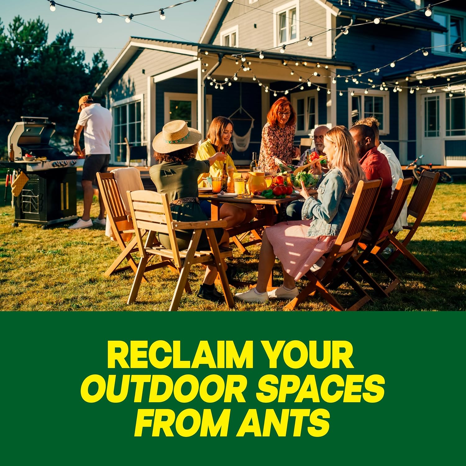 Raid Outdoor Liquid Ant Bait, Starts Killing Listed Ants Within 24 Hours, Effective Outdoors, Pre-Filled And Ready-To-Use, 8 Bait Stations Per Pack, 2 Fl Oz