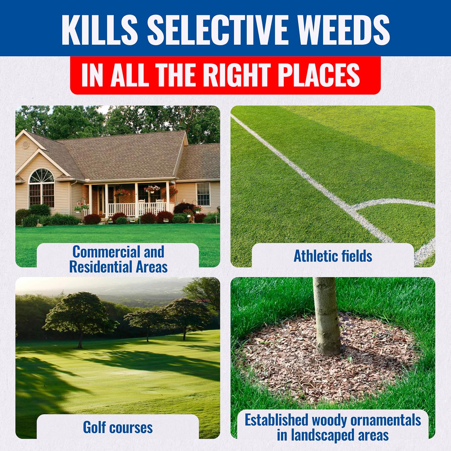 Sedgehammer Plus Turf Herbicide -Purple & Yellow Nutsedge Killer For Lawns With Pre-Mixed Surfactant - Lawn & Pet Safe Weed Killer Mix For Residential Use (2)