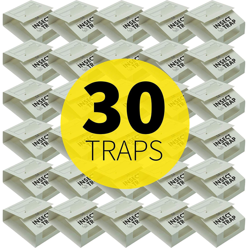 S&T Inc. Insect Traps For Pest Control, 30 Pack | Glue Traps For Brown Recluse, Hobo Spiders, Black Widows, Home, Basement Or Garage, Pest Control Traps