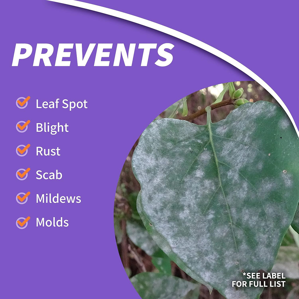 Bonide Fung-Onil Multi-Purpose Fungicide, 32 Oz Ready-To-Use Spray For Plant Disease Control, Controls Blight, Mildew & More | Plant Disease Control, Controls Blight, Mildew & More