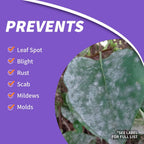 Bonide Fung-Onil Multi-Purpose Fungicide, 32 Oz Ready-To-Use Spray For Plant Disease Control, Controls Blight, Mildew & More | Plant Disease Control, Controls Blight, Mildew & More