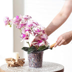 Truedays Orchid Pot – 4 Pack 5 Inch Clear Orchid Pots With Drainage Holes For Repotting – Ideal For Healthy Root Growth – Sturdy Plastic Plant Pot For Indoor & Outdoor Plants