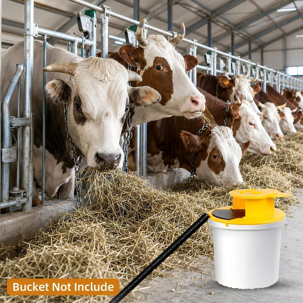 3Pc Bucket Mouse Trap - Mouse Traps Indoor For Home - Abs Material | Multi-Catch, Auto-Reset, Humane Or Lethal Rat Trap, No Chemicals Or Glue Needed